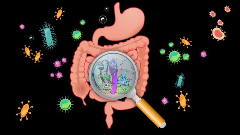 Bağırsak İltihabı Ateş Yapar mı?